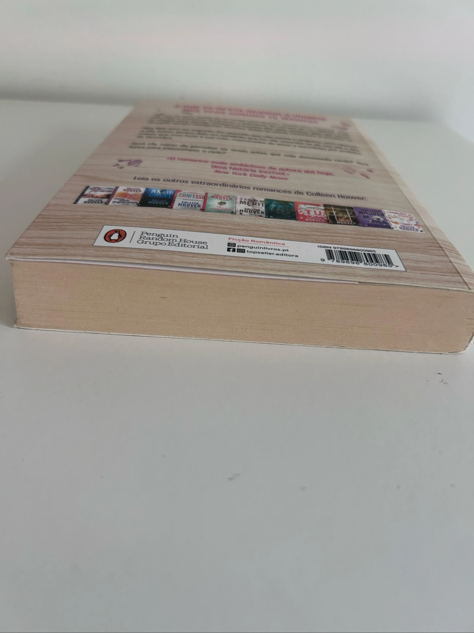 "Ça s'arrête ici" Colleen Hoover – photo 3